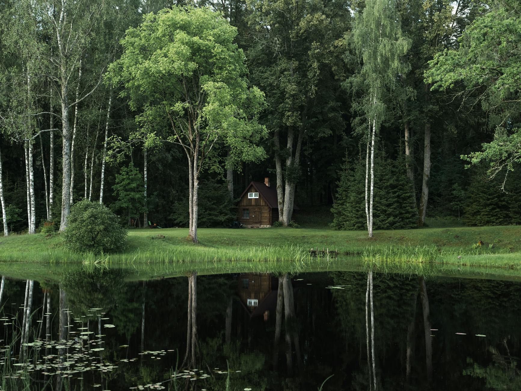 Thoreau'nun Kulübesi (Walden)