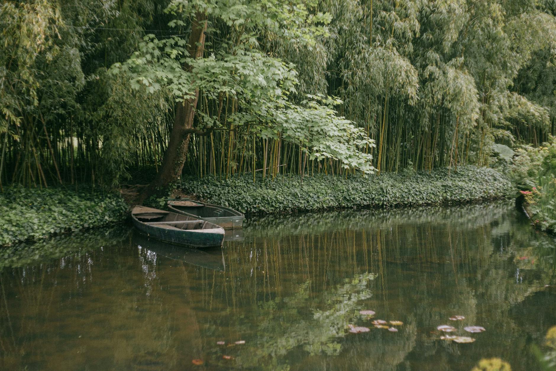 Monet'nin Bahçesi (Giverny)